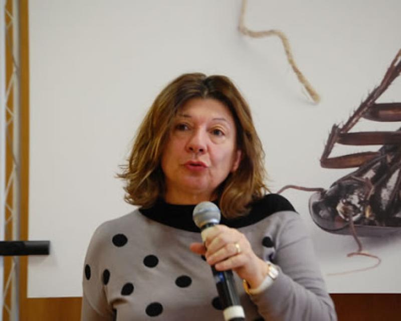 Bassanonet.it Il gelsomino egeo