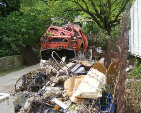 Bassanonet.it Il Libro della Giungla