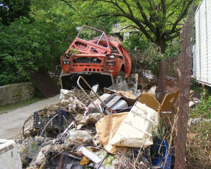 Bassanonet.it Il Libro della Giungla