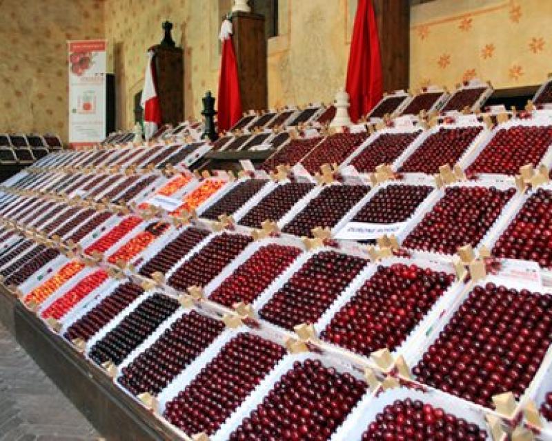 Bassanonet.it Chi sarà la più bella?