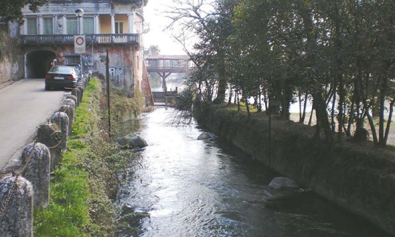 Bassanonet.it - STATO DI FATTO