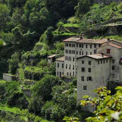 Bassanonet.it La terra del tabacco