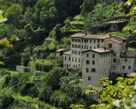 Bassanonet.it La terra del tabacco