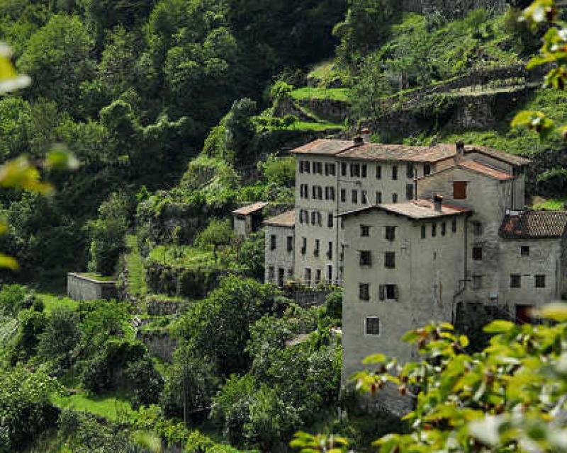 Bassanonet.it La terra del tabacco