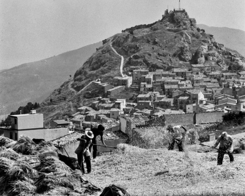 Bassanonet.it Il bianconero di Maccà