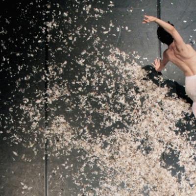 Bassanonet.it La fiaba, l'alfabeto, la danza, il piacere