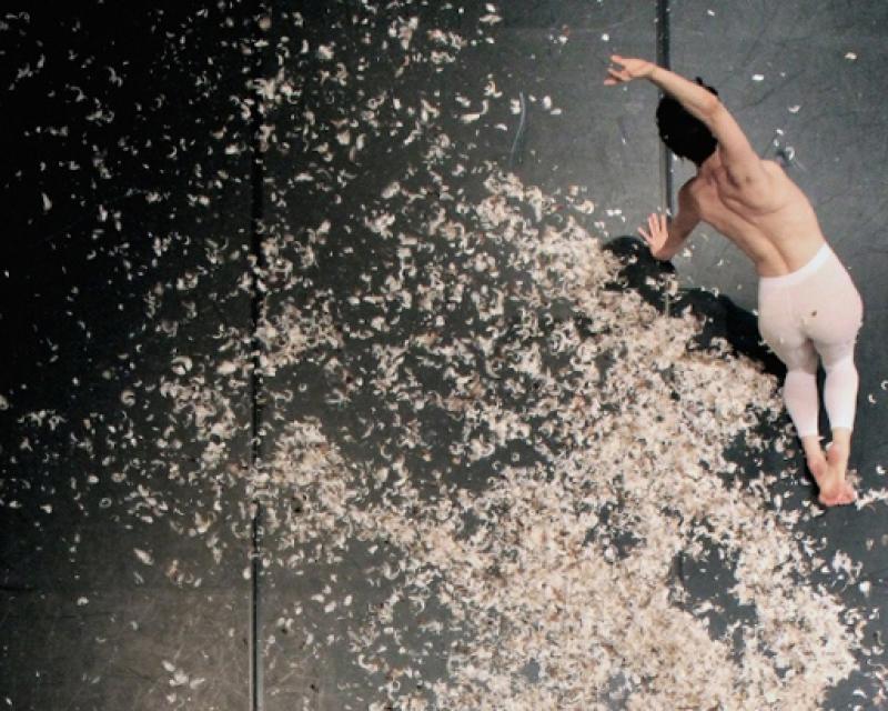 Bassanonet.it La fiaba, l'alfabeto, la danza, il piacere