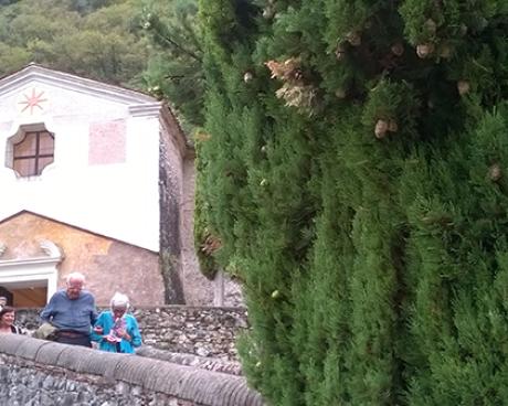 Bassanonet.it Storie immortali di draghi e principesse