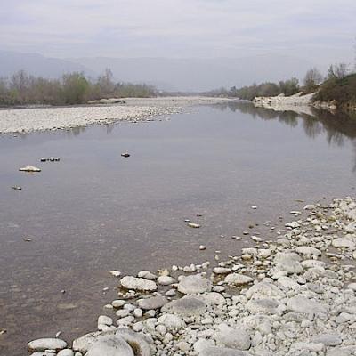 Bassanonet.it Misure straordinarie