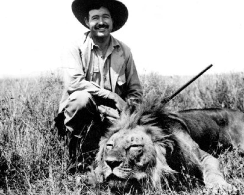 Bassanonet.it Il superpredatore