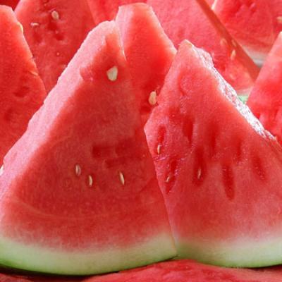 Bassanonet.it L'isola delle angurie