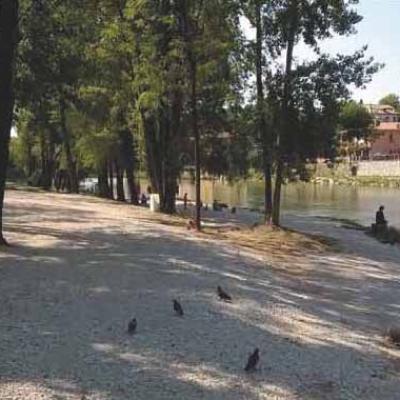 Bassanonet.it L'isola della <em>Bea Vita</em>