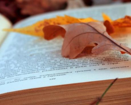 Bassanonet.it Domenica... in Biblioteca!