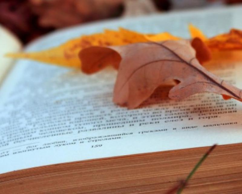 Bassanonet.it Domenica... in Biblioteca!