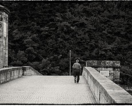 Bassanonet.it Voci del '900 letterario europeo