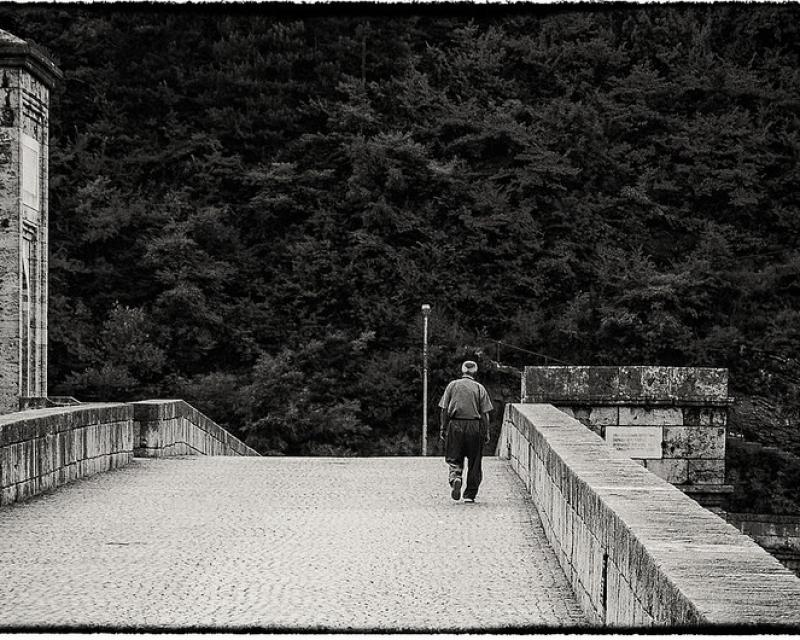 Bassanonet.it Voci del '900 letterario europeo