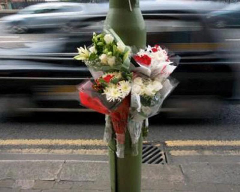 Bassanonet.it La vita nel colore