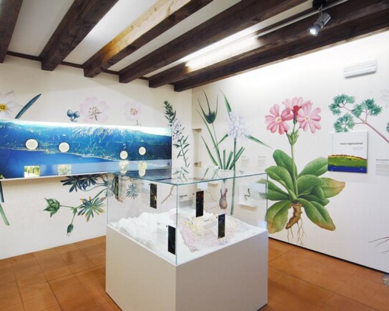 Bassanonet.it Una notte al Museo