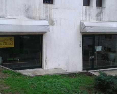 Bassanonet.it Fumo a 5 Stelle