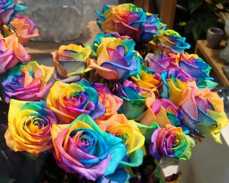 Bassanonet.it Cinquanta sfumature di rosa