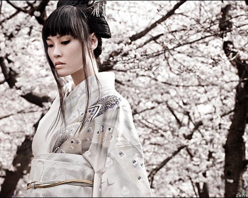 Bassanonet.it Domenica in libreria