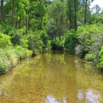 Bassanonet.it Ciak, per Filmambiente