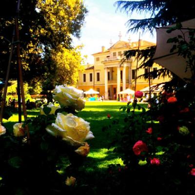 Bassanonet.it La Guerra delle Rose