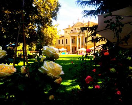 Bassanonet.it La Guerra delle Rose