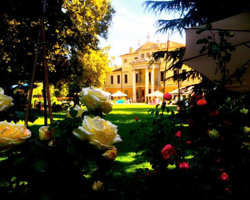 Bassanonet.it La Guerra delle Rose