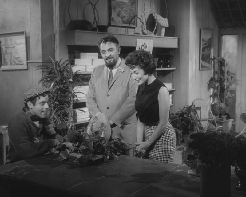 Bassanonet.it Verde assassino