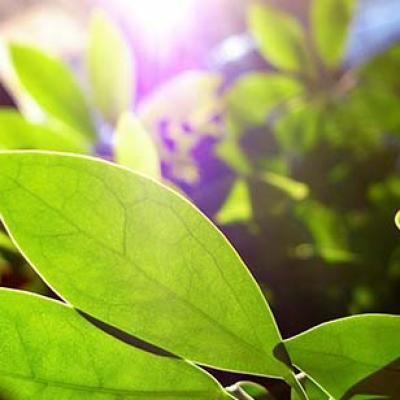 Bassanonet.it Ancora domenica in libreria