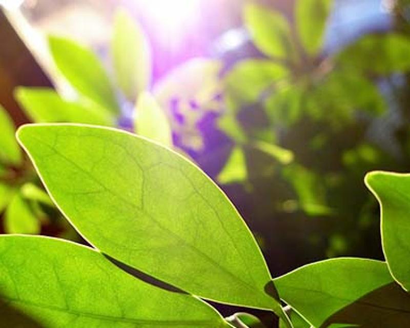 Bassanonet.it Ancora domenica in libreria