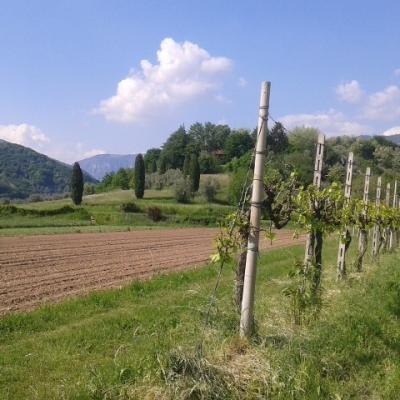 Bassanonet.it Attenzione: buche