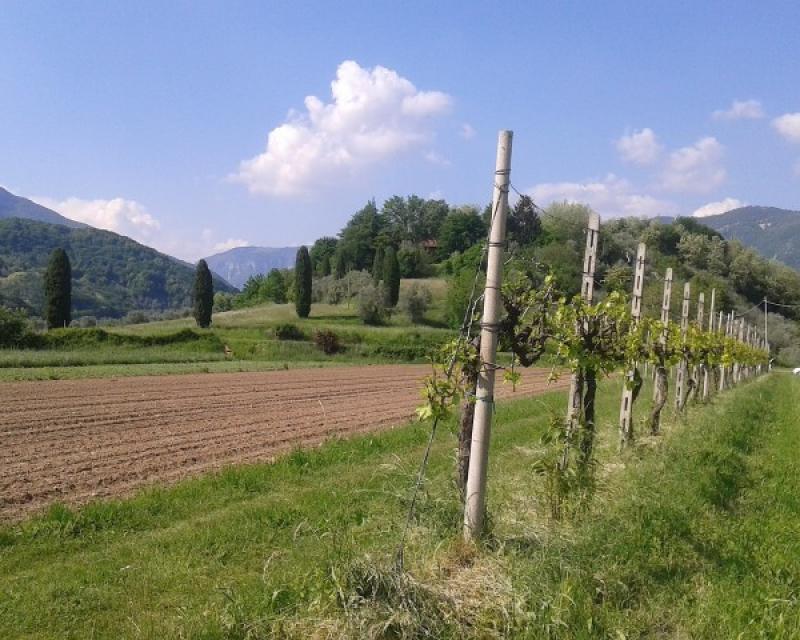 Bassanonet.it Attenzione: buche