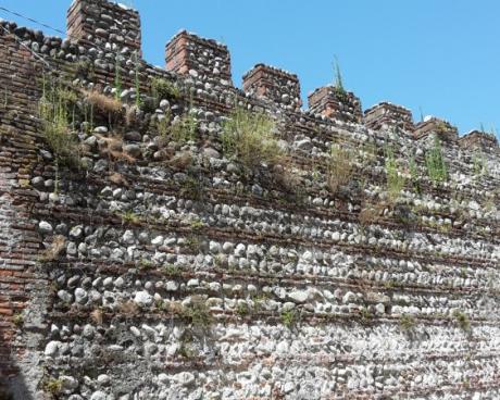 Bassanonet.it L'erba del vicino