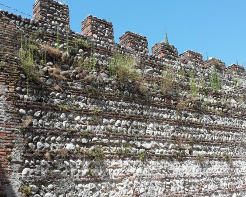 Bassanonet.it L'erba del vicino