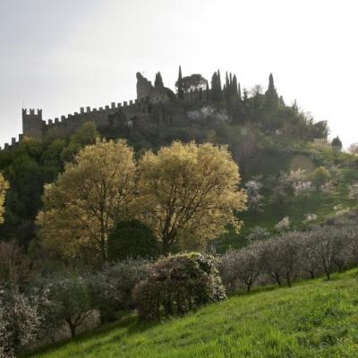 Bassanonet.it Wiki Clic