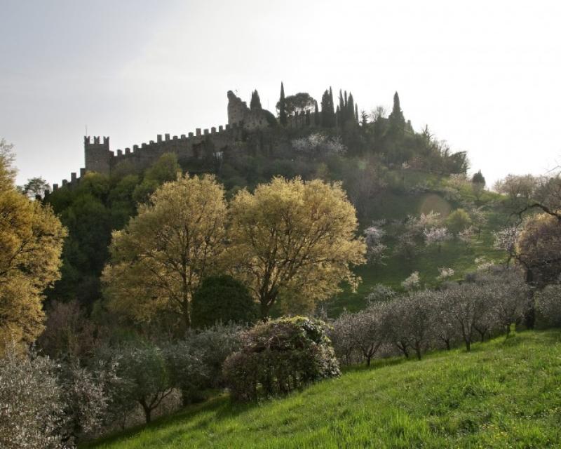 Bassanonet.it Wiki Clic