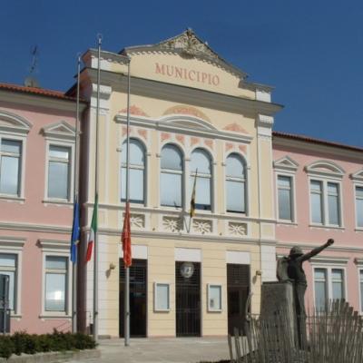 Bassanonet.it Uniti dal sisma