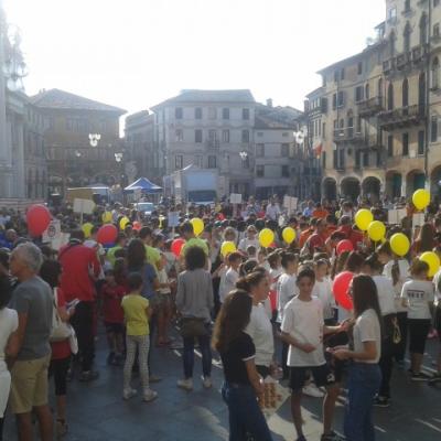 Bassanonet.it Quando il troppo storpia
