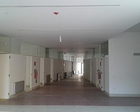 Bassanonet.it Vuoto a perdere