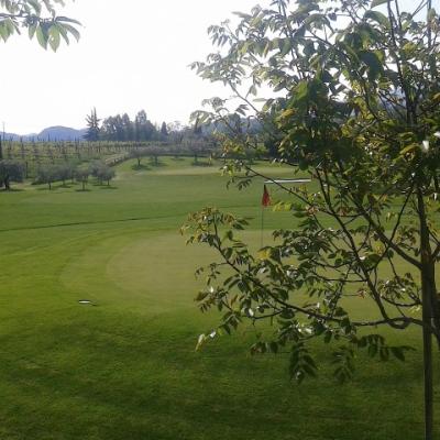 Bassanonet.it Questo sì che è <em>green</em>