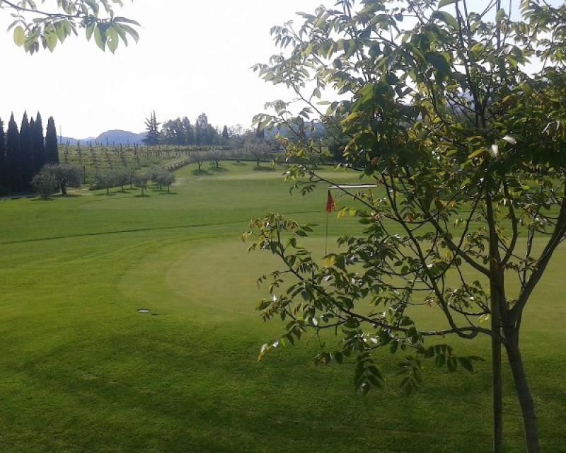 Bassanonet.it Questo sì che è <em>green</em>