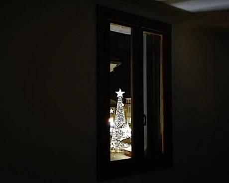 Bassanonet.it La finestra sull'albero