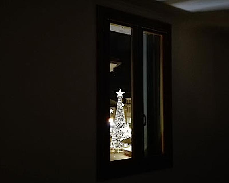 Bassanonet.it La finestra sull'albero