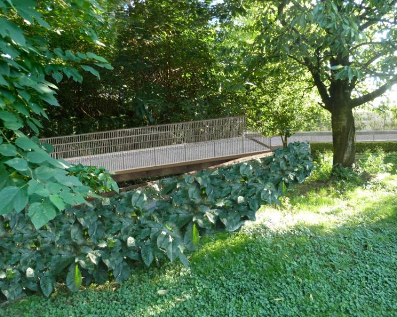 Bassanonet.it Te lo do io il bypass