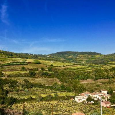 Bassanonet.it Autoctono Wine & Food Tour 2017