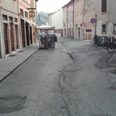 Bassanonet.it Il Brutto Anatroccolo