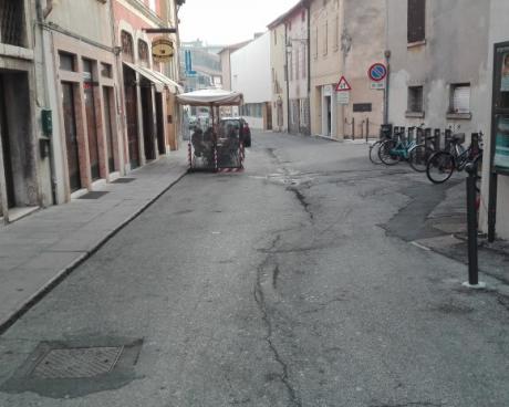 Bassanonet.it Il Brutto Anatroccolo