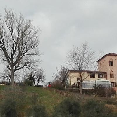 Bassanonet.it Testa o Crocetta